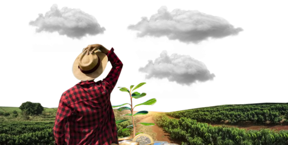 Soluciones Integrales